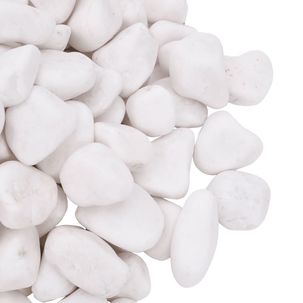vidaXL Polerowane kamyki, 25 kg, białe, 2-5 cm