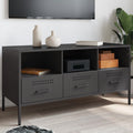 vidaXL Szafka pod telewizor, czarna, 100,5x39x50,5 cm, stalowa