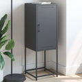 vidaXL Szafka, antracytowa, 36x39x107 cm, stal