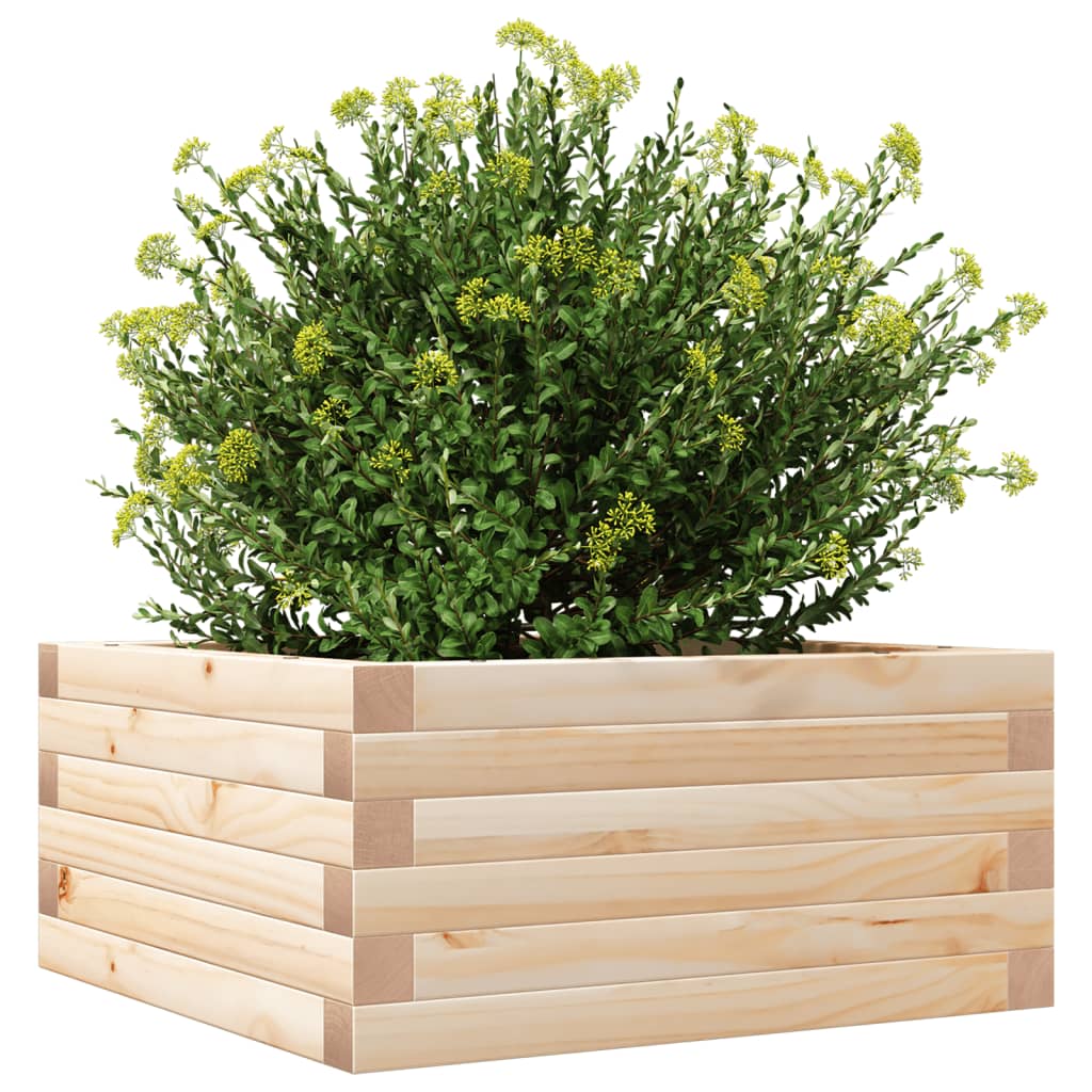 vidaXL Donica ogrodowa, 50x50x23 cm, lite drewno sosnowe