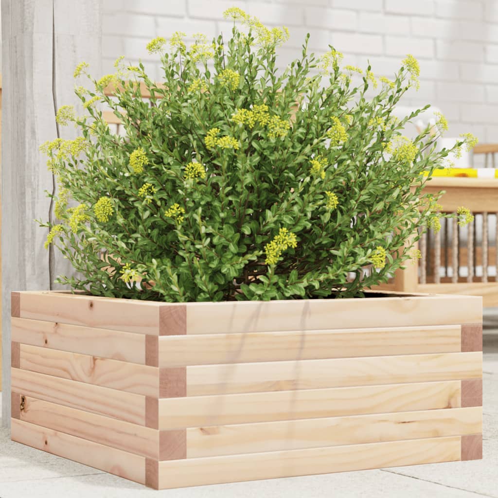 vidaXL Donica ogrodowa, 50x50x23 cm, lite drewno sosnowe