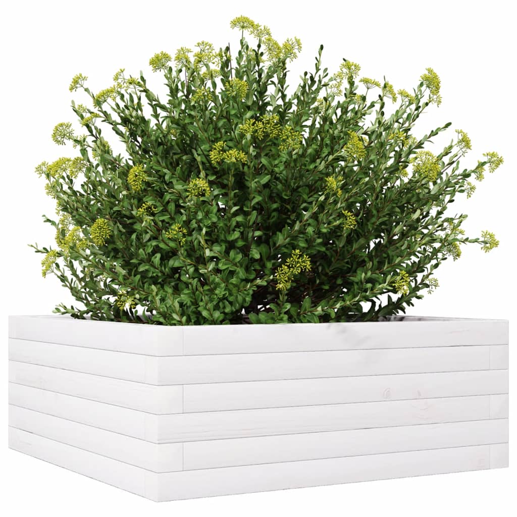 vidaXL Donica ogrodowa, biała, 60x60x23 cm, lite drewno sosnowe