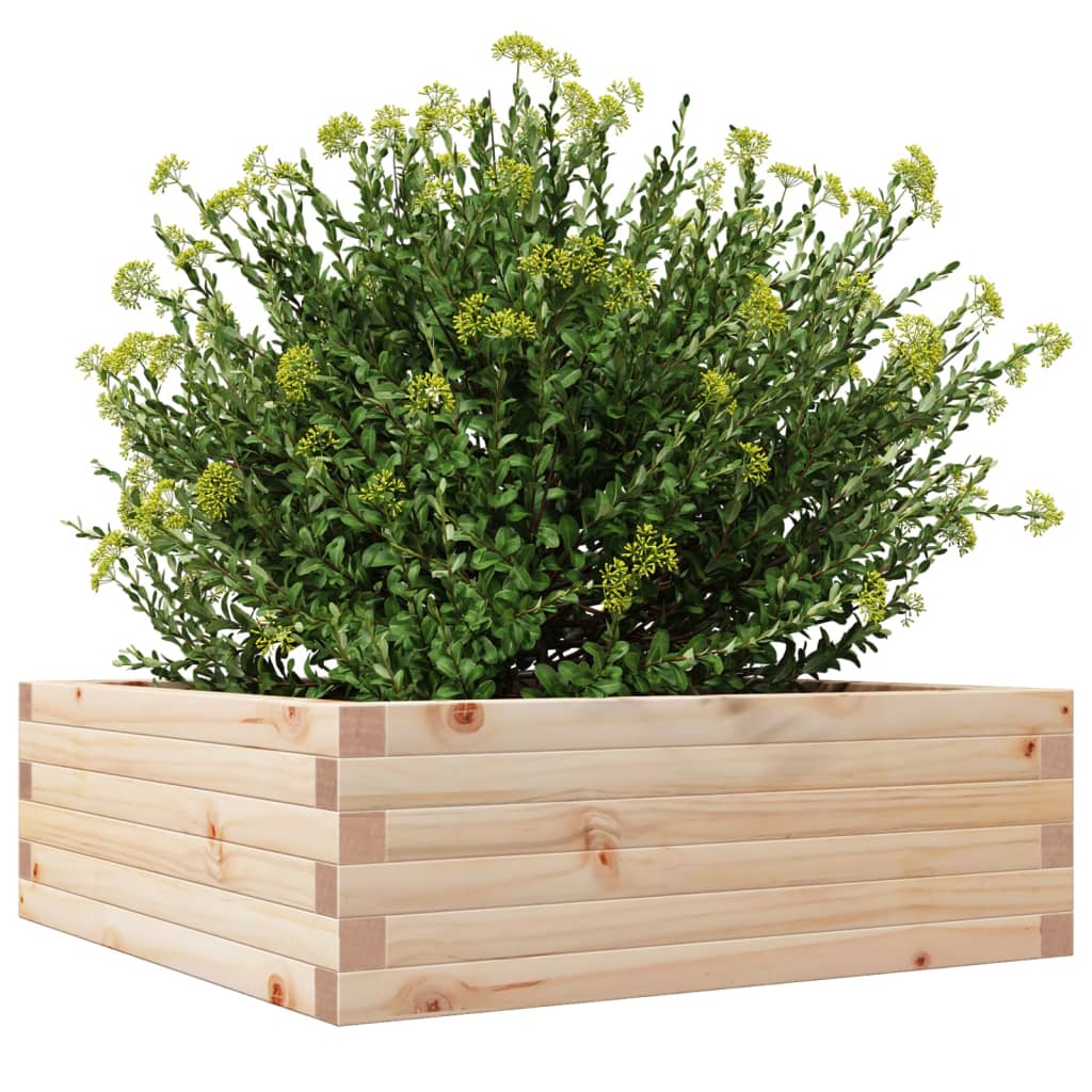 vidaXL Donica ogrodowa, 70x70x23 cm, lite drewno sosnowe