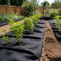 vidaXL Geowłóknina, czarna, 1x50 m, włókno poliestrowe