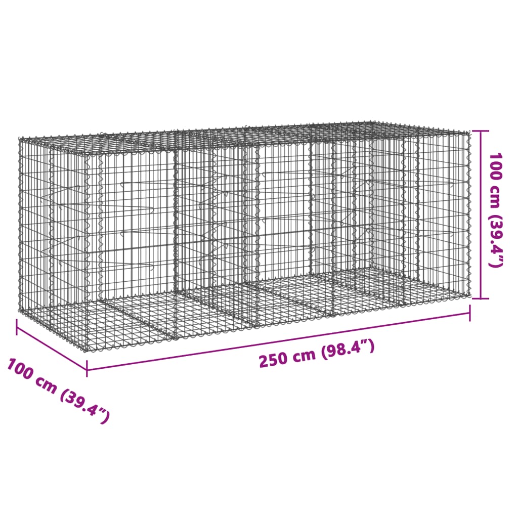 vidaXL Kosz gabionowy z pokrywą, 250x100x100 cm, galwanizowane żelazo