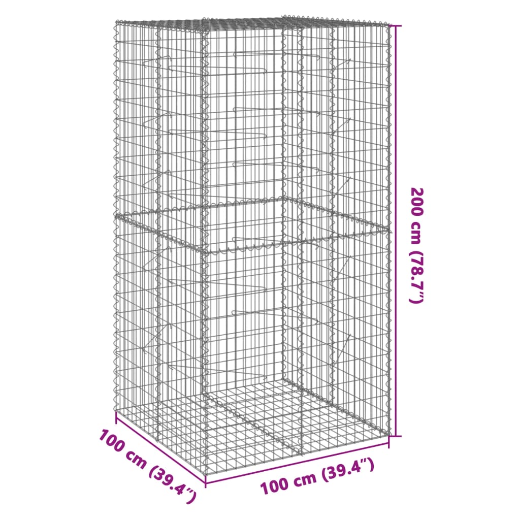 vidaXL Kosz gabionowy z pokrywą, 100x100x200 cm, galwanizowane żelazo