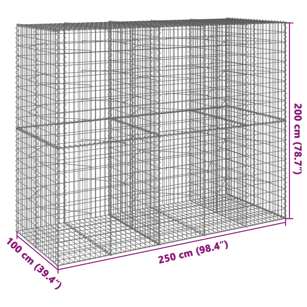 vidaXL Kosz gabionowy z pokrywą, 250x100x200 cm, galwanizowane żelazo