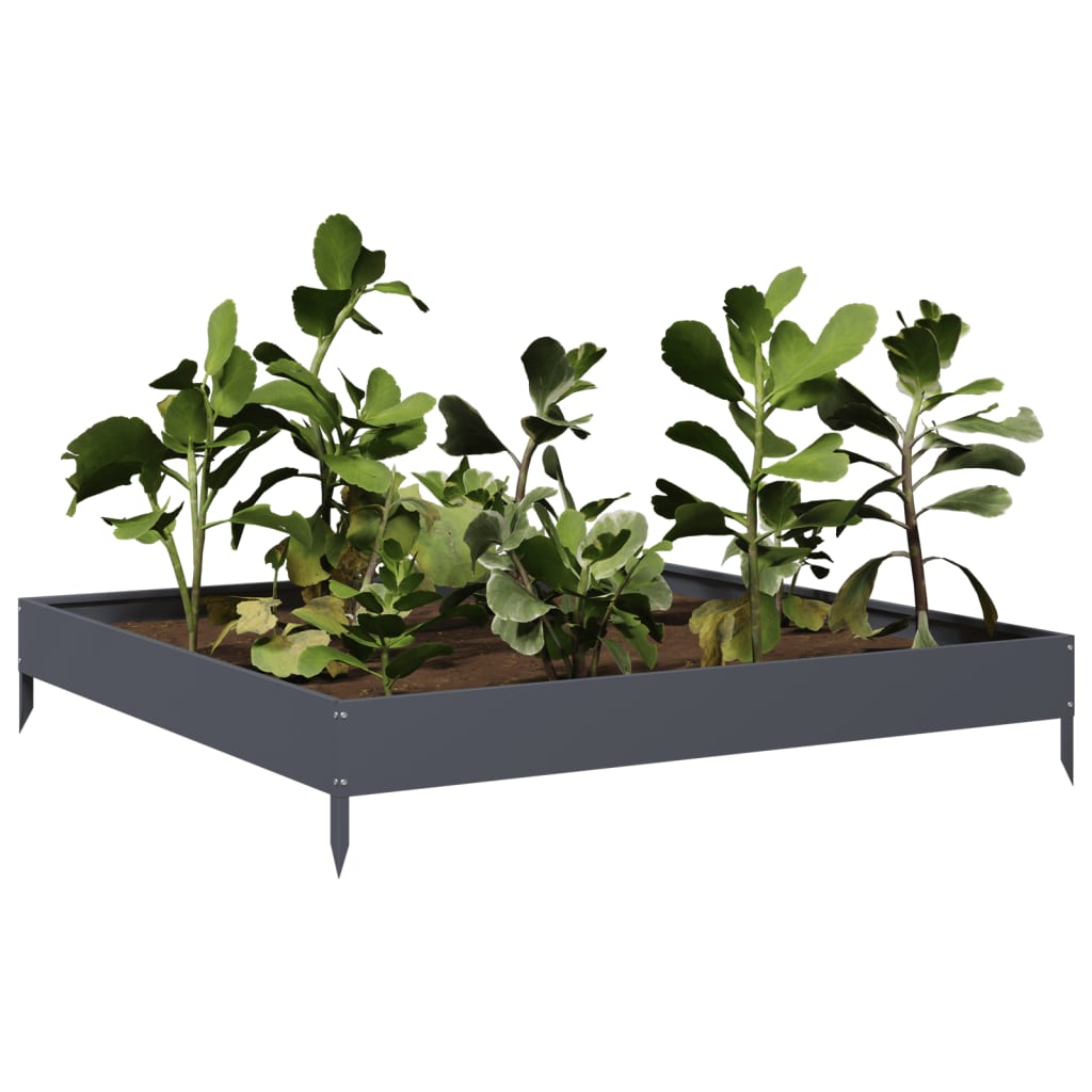 vidaXL Podwyższona donica, antracytowa, 100x100x18,5 cm, stal