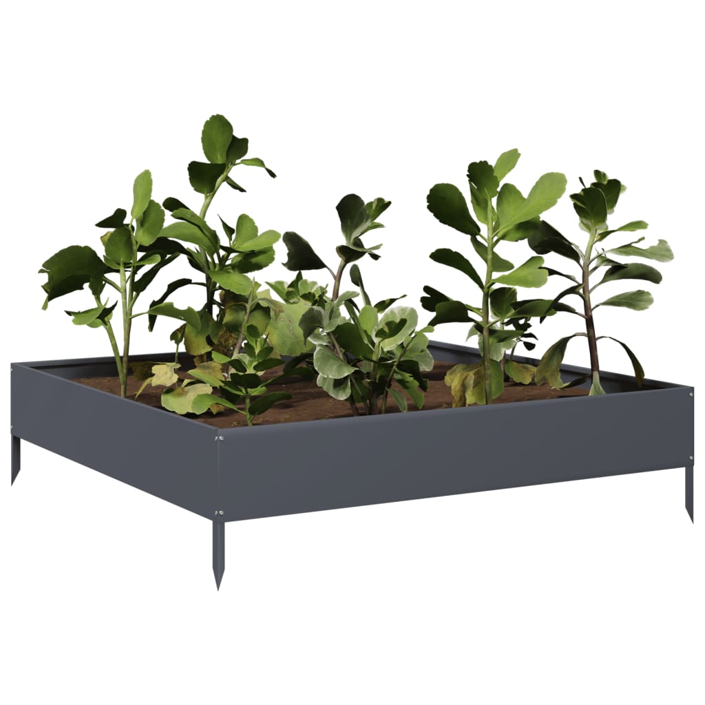 vidaXL Podwyższona donica, antracyt, 100x100x26 cm, stal