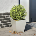 vidaXL Donica ogrodowa, 30x30x30 cm, stal nierdzewna