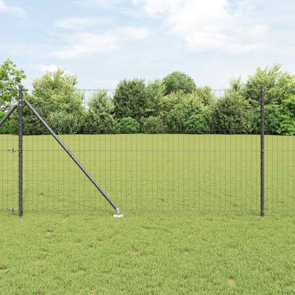 vidaXL Ogrodzenie z drutu spawanego z kolcami 10 x 1 m (S x W)