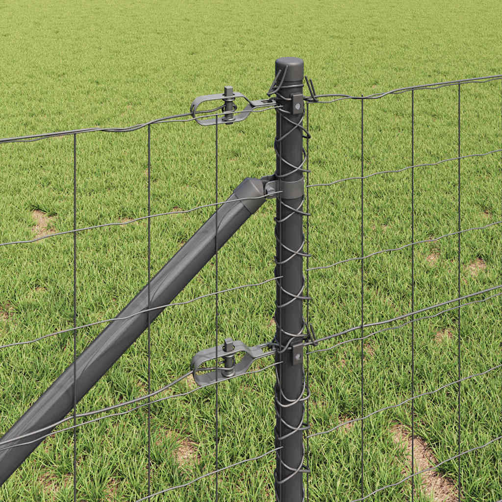 vidaXL Ogrodzenie z drutu spawanego z kolcami 10 x 0,6 m (S x W)