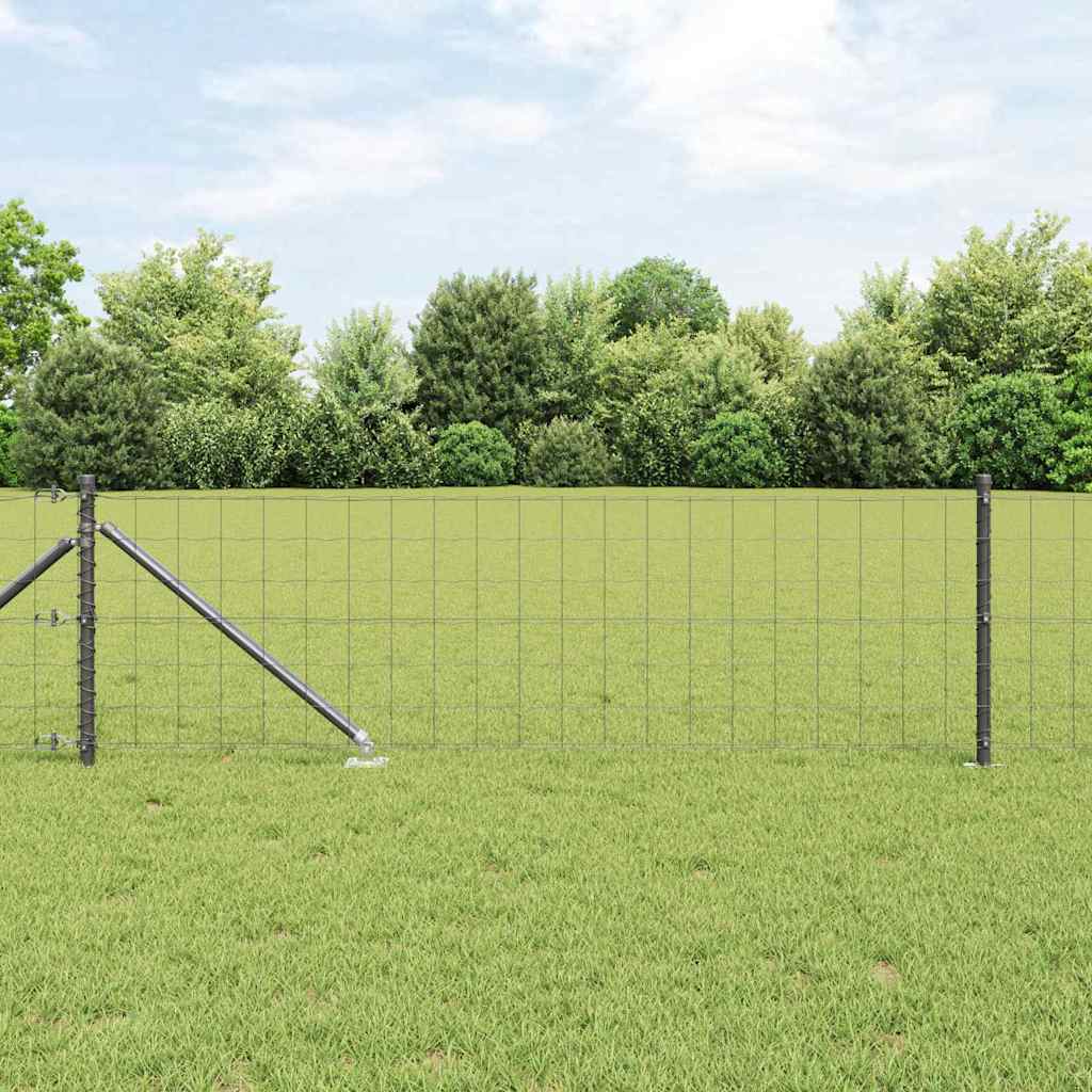vidaXL Ogrodzenie z drutu spawanego z kolcami 10 x 0,8 m (S x W)