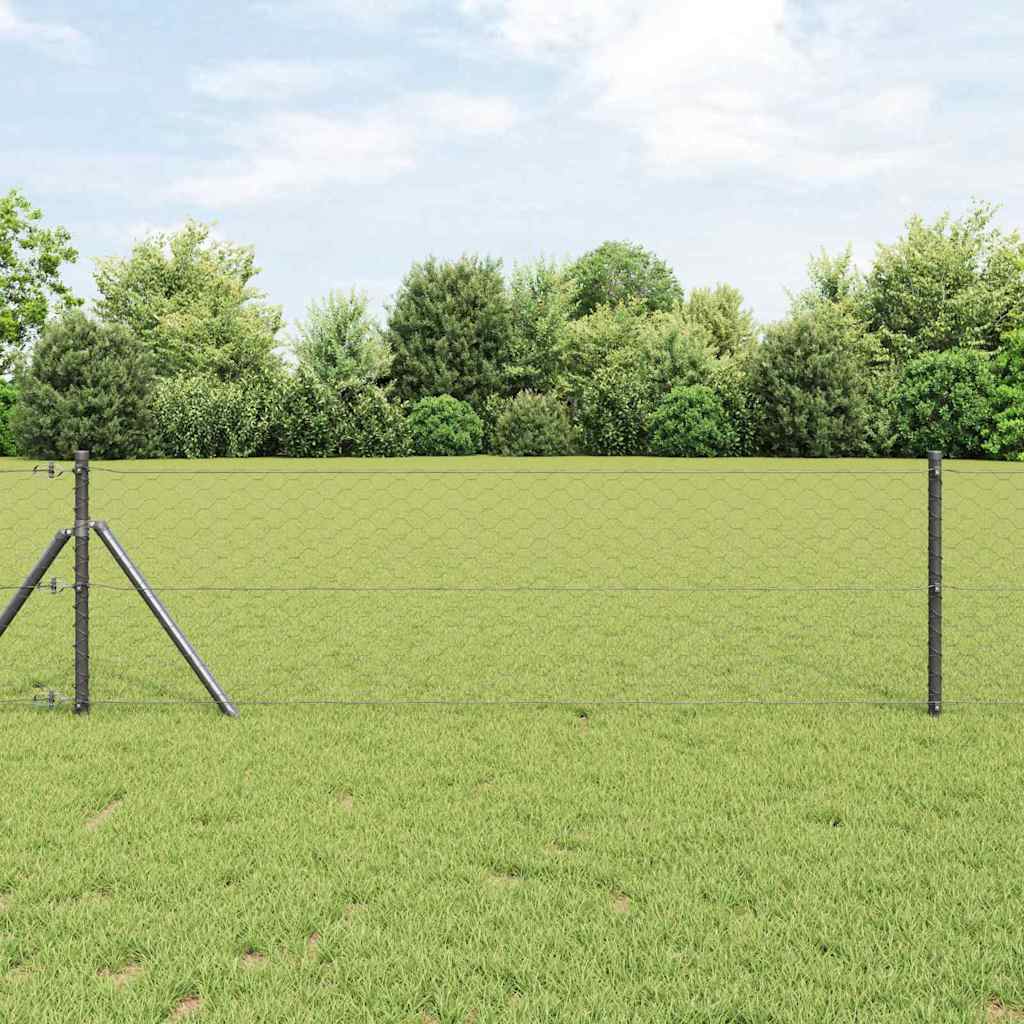 vidaXL Ogrodzenie spawane do mocowania w gruncie 10 x 0,6 m (S x W)
