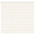 vidaXL Roleta zebra, 165x100 cm, szerokość tkaniny 160,9 cm, poliester