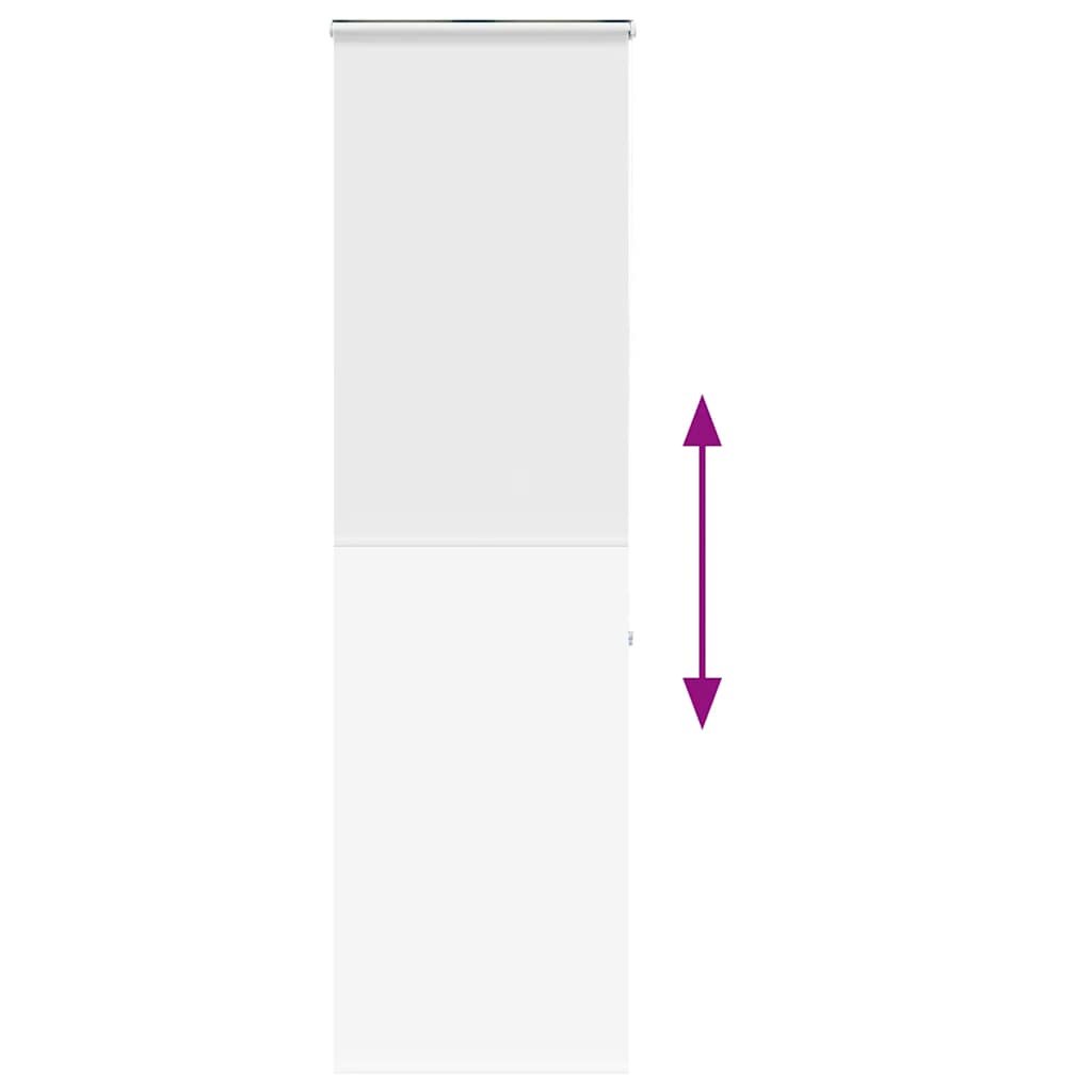 vidaXL Roleta prysznicowa z kasetą 70x240 cm Szerokość tkaniny 66 cm