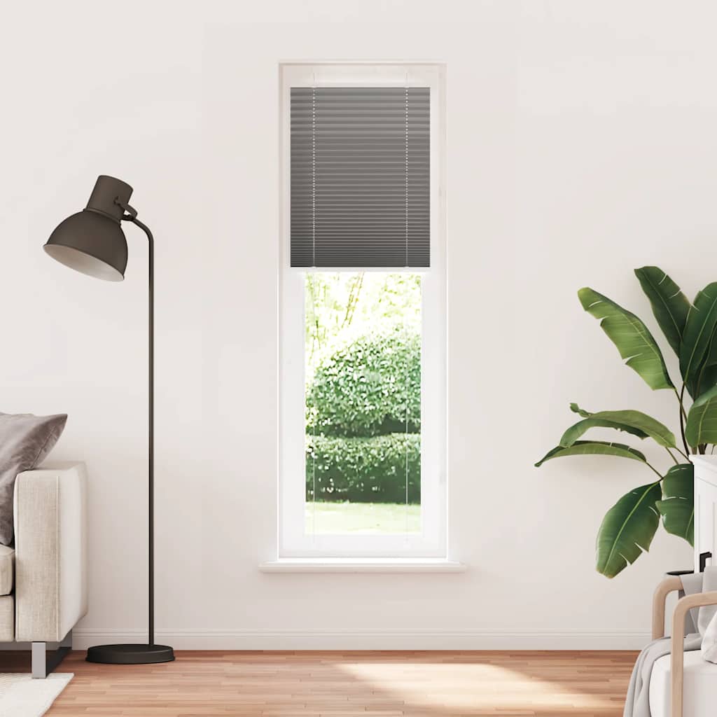 vidaXL Roleta plisowana antracytowa 60x200 cm Szerokość tkaniny 59,4cm