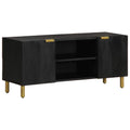 vidaXL Szafka pod telewizor, czarna, 105x33x46 cm