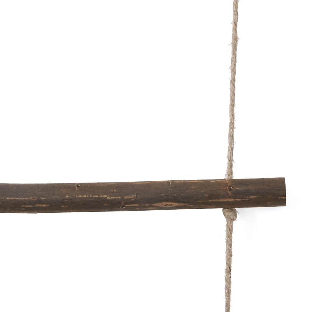 vidaXL Dekoracje ścienne, drabinka, 2 szt., 50x200 cm, naturalna gałąź