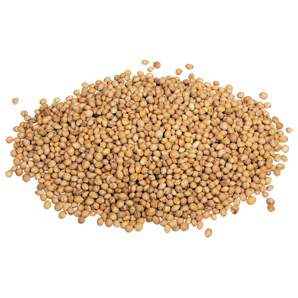 vidaXL Pestki wiśni do poduszki grzewczej 5 kg