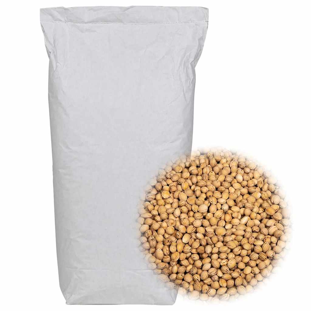 vidaXL Pestki wiśni do poduszki grzewczej 10 kg