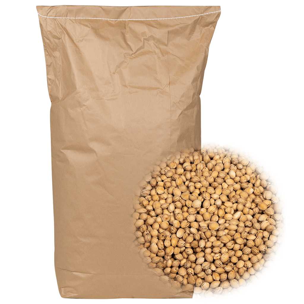 vidaXL Pestki wiśni do poduszki grzewczej 20 kg