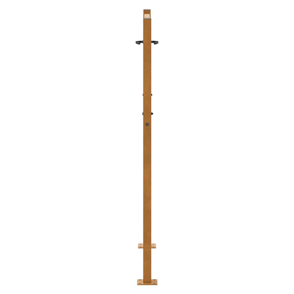 vidaXL Brama ogrodowa 100x125 cm Stal nierdzewna Lekka konstrukcja
