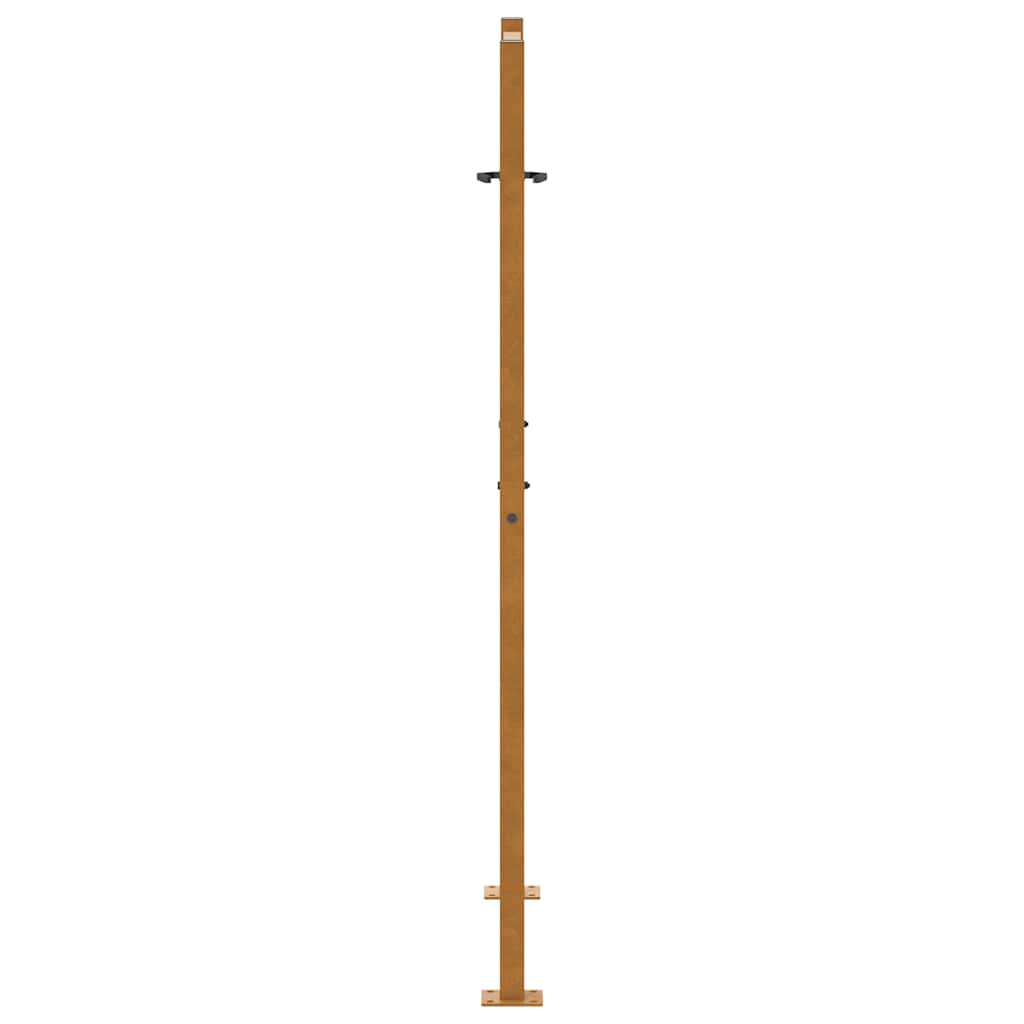 vidaXL Brama ogrodowa 100x150 cm Stal nierdzewna Lekka konstrukcja