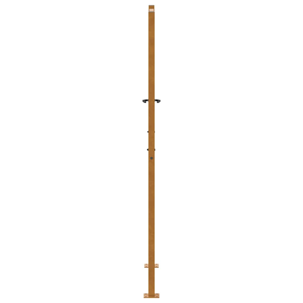 vidaXL Brama ogrodowa 100x175 cm Stal nierdzewna Lekka konstrukcja
