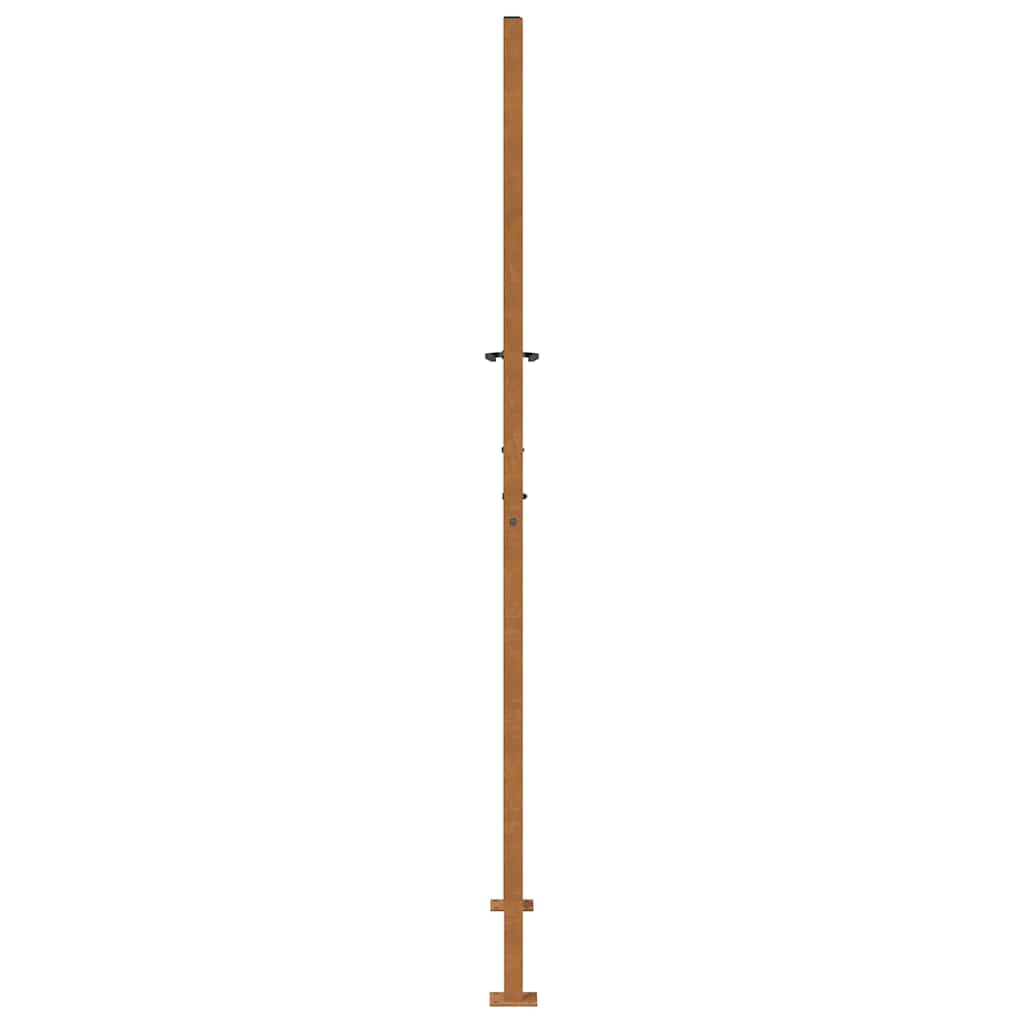 vidaXL Brama ogrodowa 100x200 cm Stal nierdzewna Lekka konstrukcja