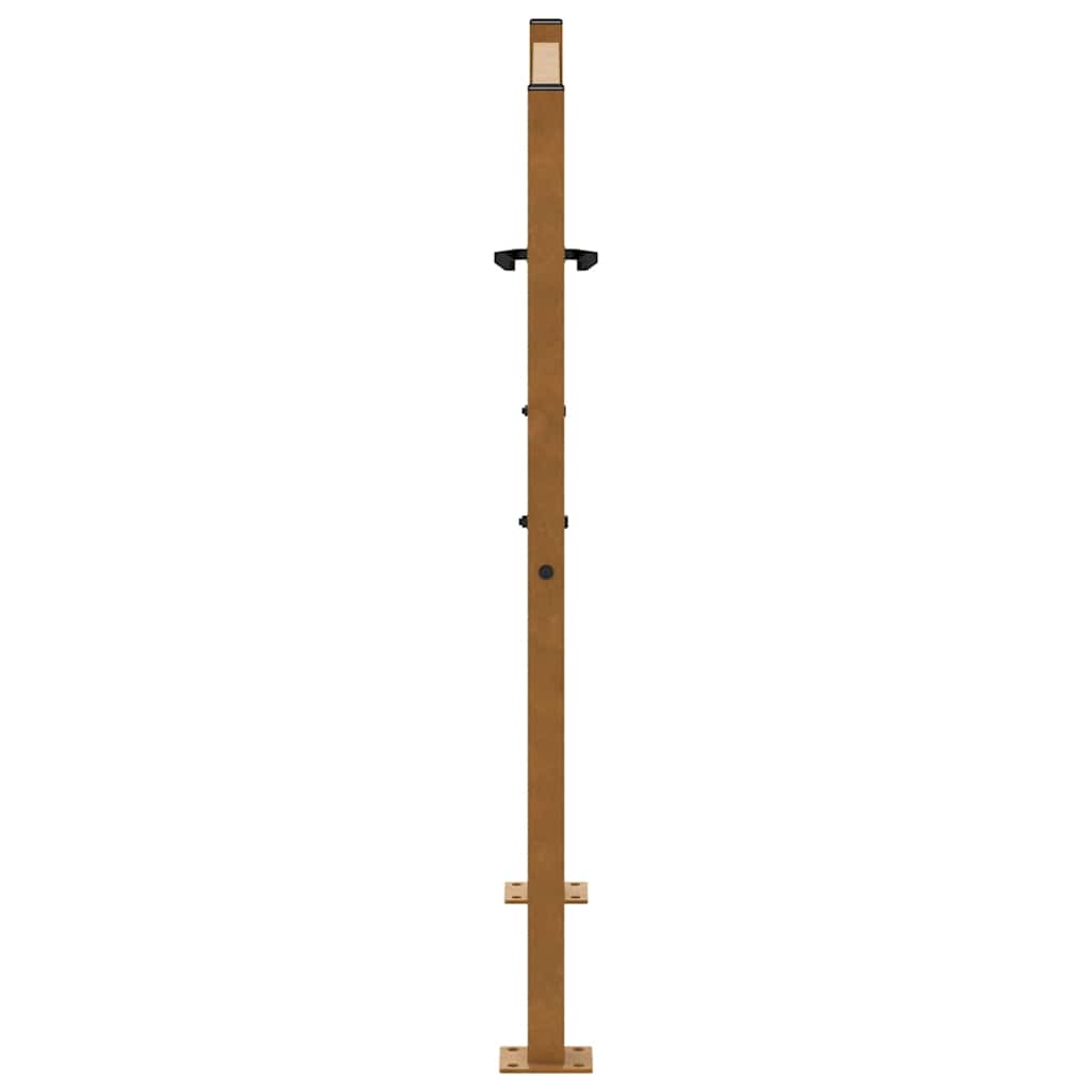 vidaXL Brama ogrodowa 100x100 cm Stal nierdzewna Wzór płomienia