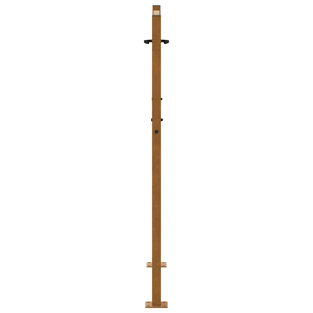 vidaXL Brama ogrodowa 100x125 cm Stal nierdzewna Wzór płomienia