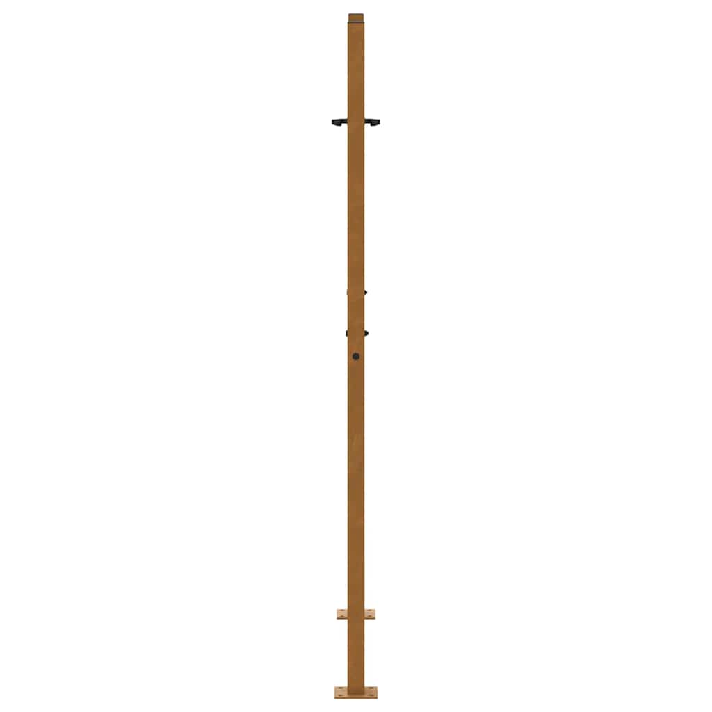 vidaXL Brama ogrodowa 100x150 cm Stal nierdzewna Wzór płomienia