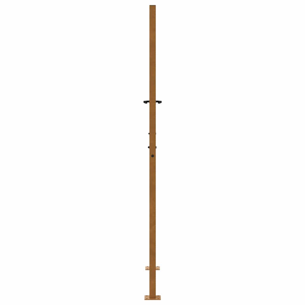 vidaXL Brama ogrodowa 100x175 cm Stal nierdzewna Wzór płomienia