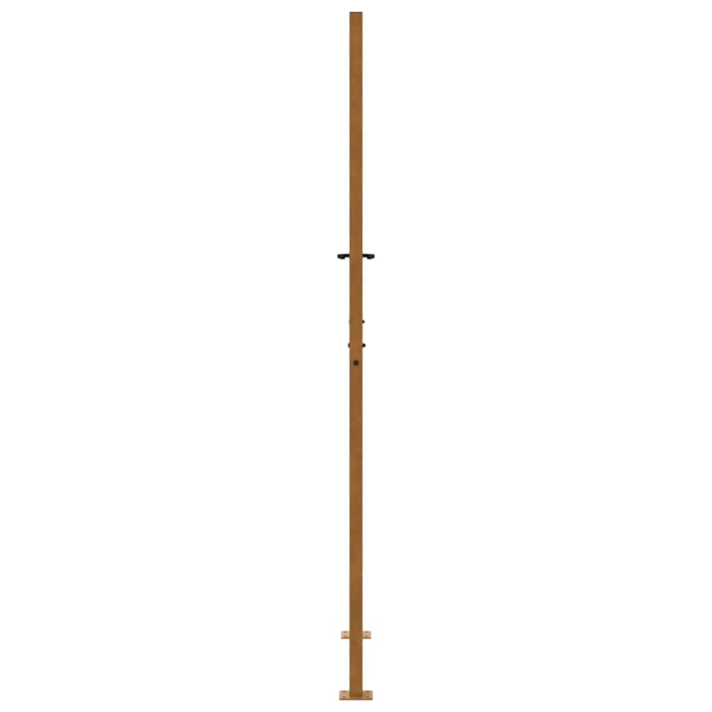 vidaXL Brama ogrodowa 100x200 cm Stal nierdzewna Wzór płomienia