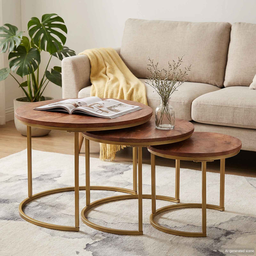 vidaXL Nesting Stoły Kawowe 3 pcs Lite drewno mango i stal