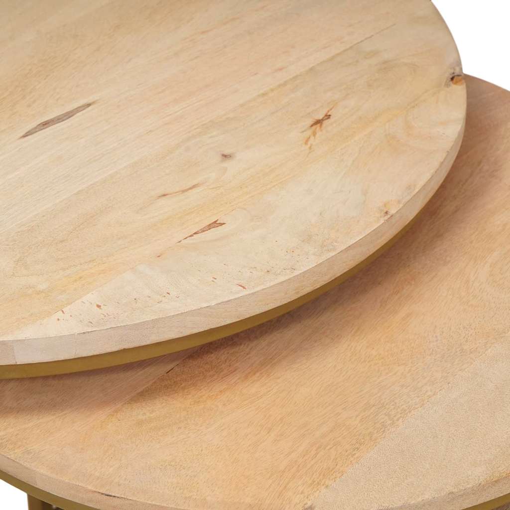 vidaXL Nesting Stoły Kawowe 2 pcs Brązowy Lite drewno mango i stal