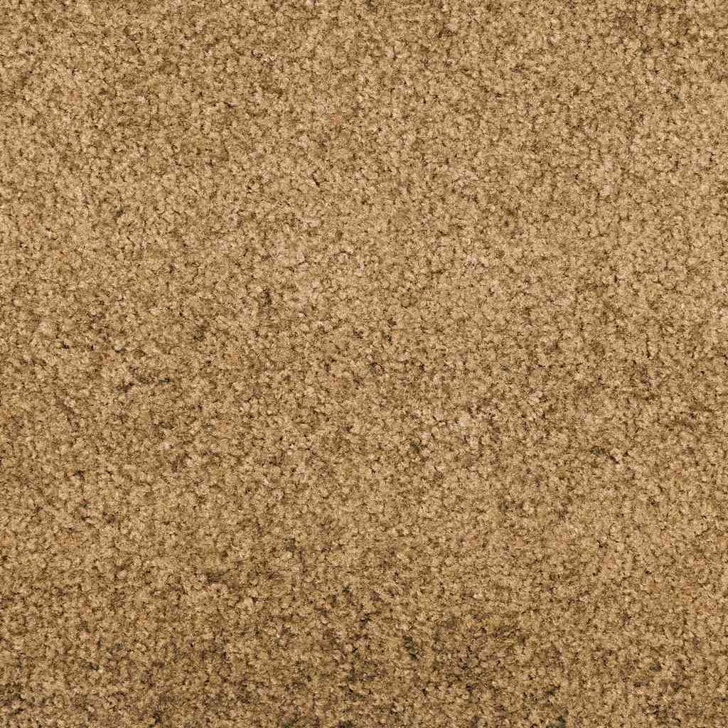 vidaXL Dywanik wejściowy Kremowy i czarny 120 x 300 cm Poliamid i PVC