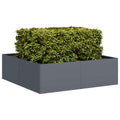 vidaXL Doniczka Antracyt 100x100x30 cm Stal