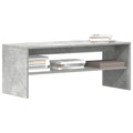 vidaXL Szafka pod TV, betonowy szary, 100 x 40 x 40 cm, płyta wiórowa