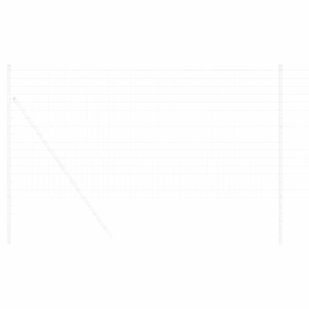vidaXL Ogrodzenie Euro 1 x 25 m Żelazo pokryte PVC