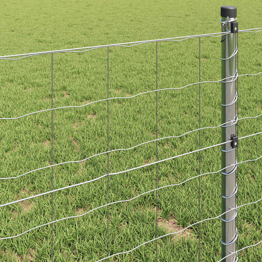 vidaXL Ogrodzenie Euro 0,6 x 50 m Żelazo pokryte PVC