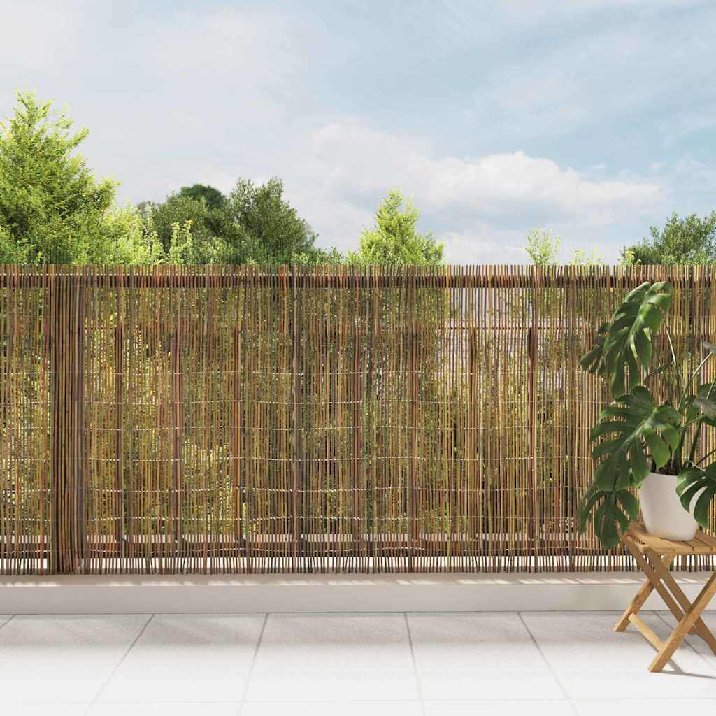 vidaXL Bambusowe ogrodzenie Naturalny 600 x 125 cm Bambus