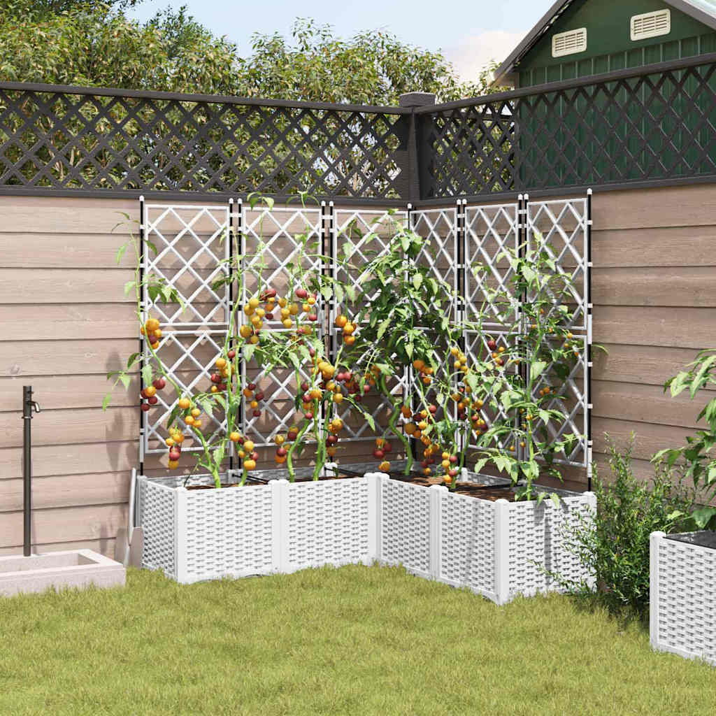 vidaXL Doniczka ogrodowa 5 pcs Biały 120 x 120 x 143 cm