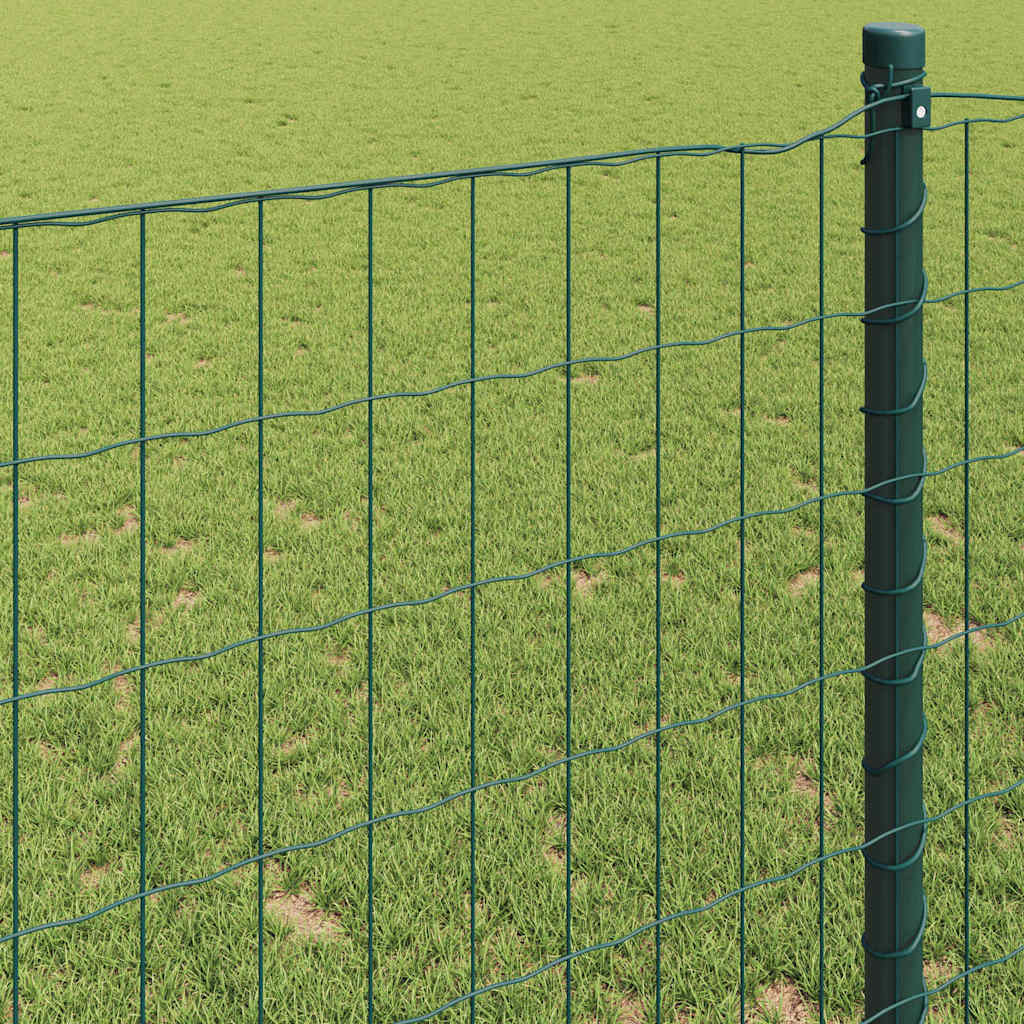 vidaXL Ogrodzenie Euro Zielony 0,8 x 10 m Żelazo pokryte PVC