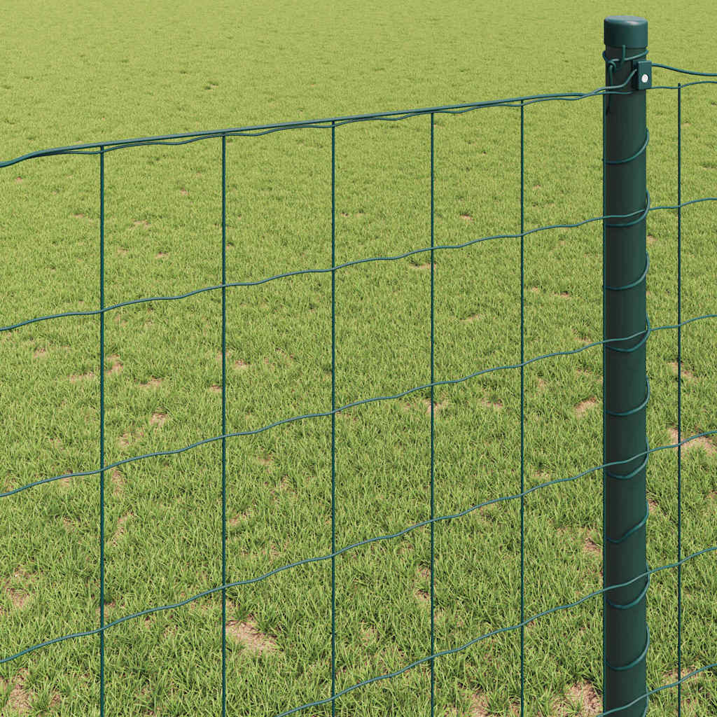 vidaXL Ogrodzenie Euro Zielony 0,6 x 10 m Żelazo pokryte PVC