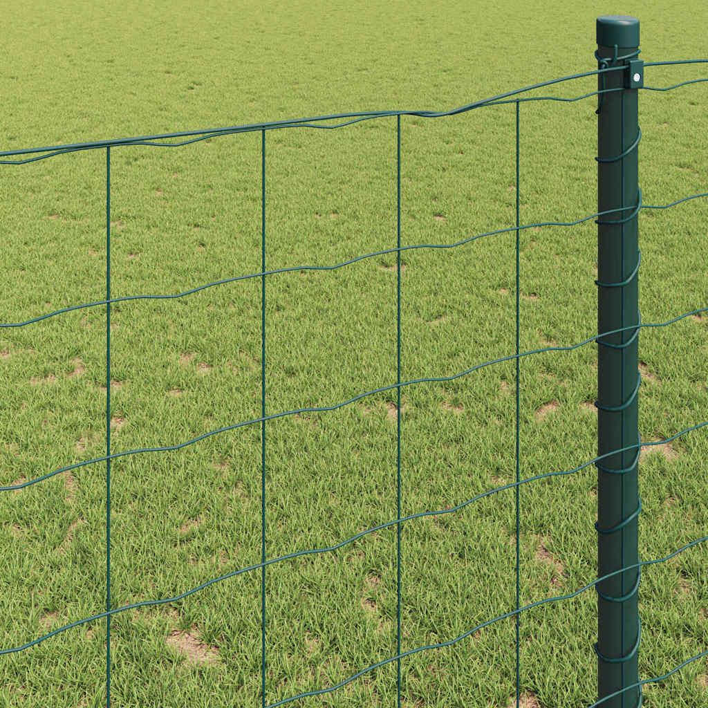 vidaXL Ogrodzenie Euro Zielony 0,6 x 25 m Żelazo pokryte PVC