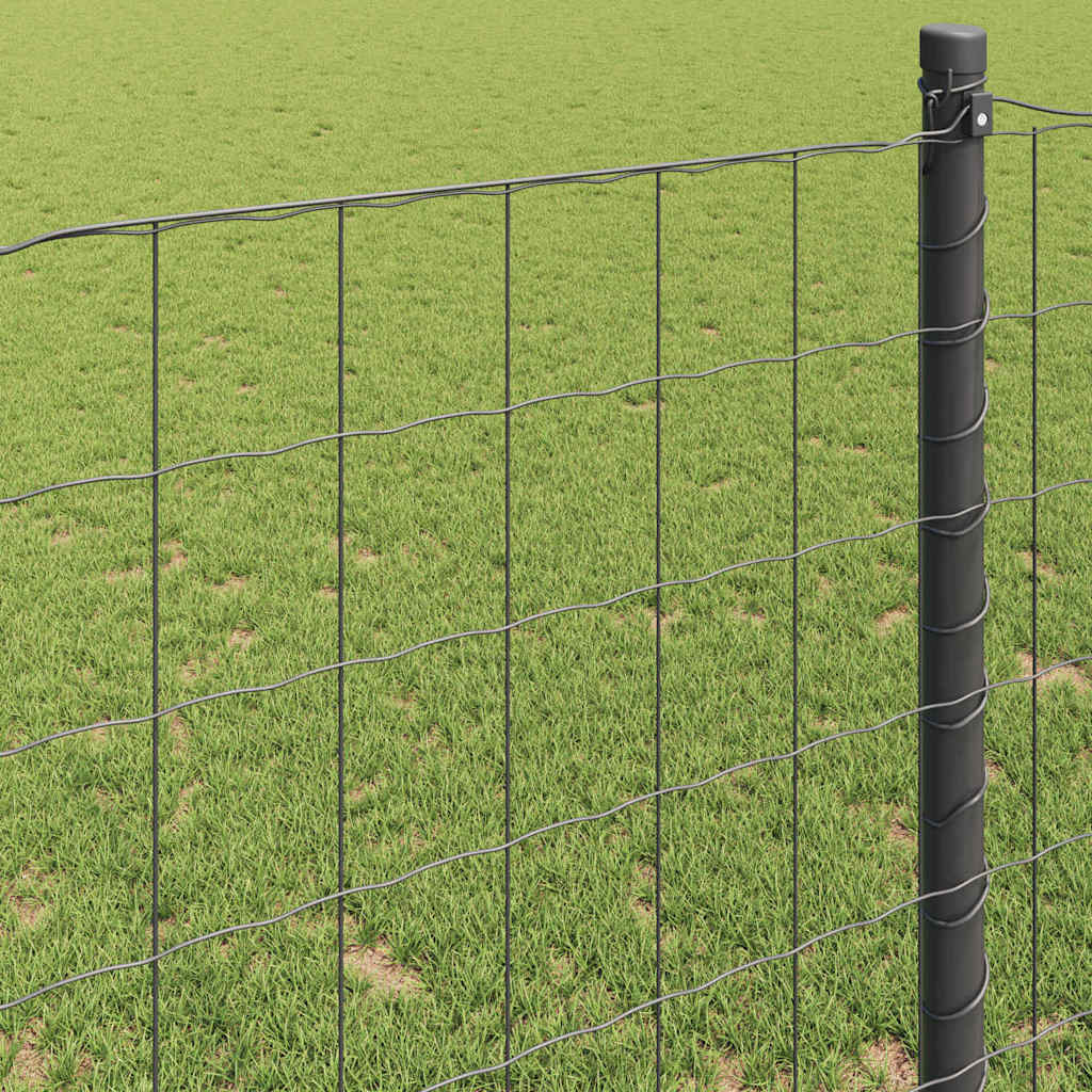 vidaXL Ogrodzenie Euro Szary 1.5 x 10 m Żelazo pokryte PVC