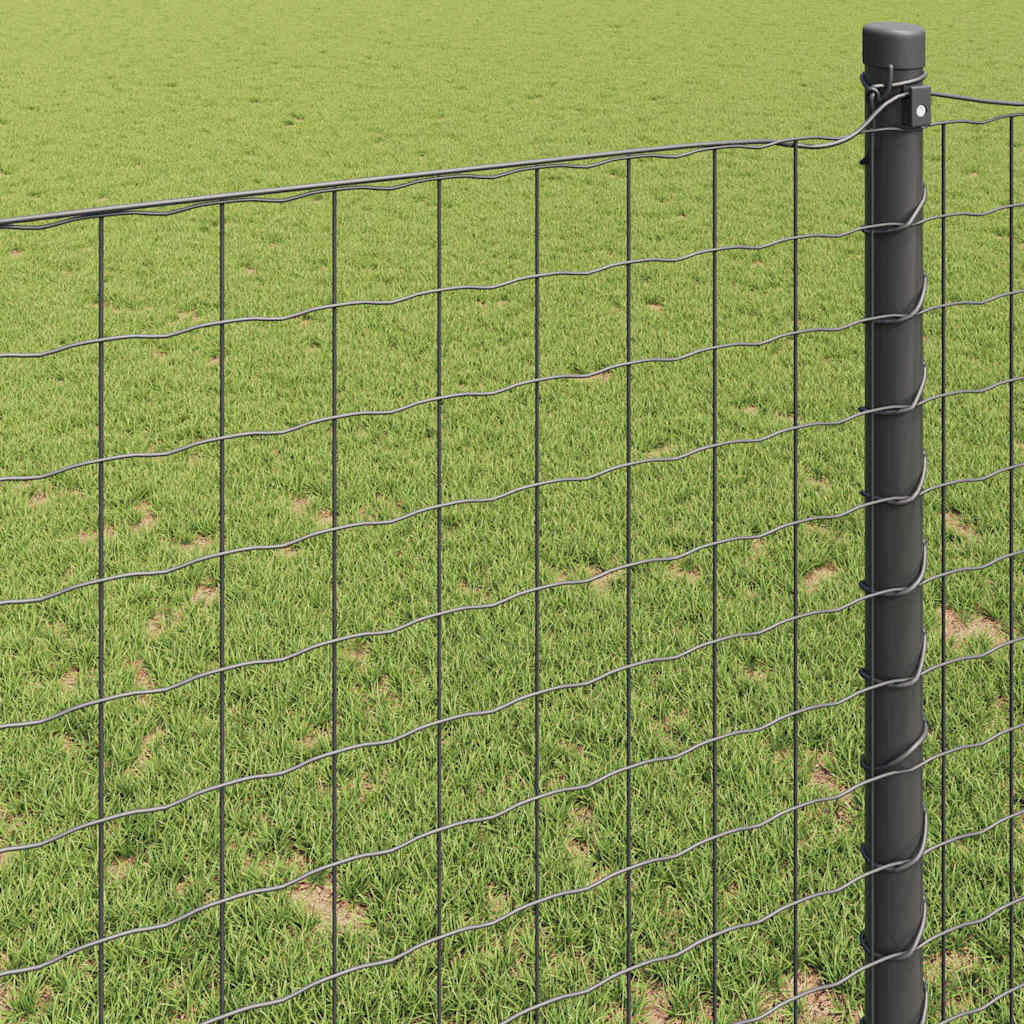 vidaXL Ogrodzenie Euro Szary 0,6 x 50 m Żelazo pokryte PVC