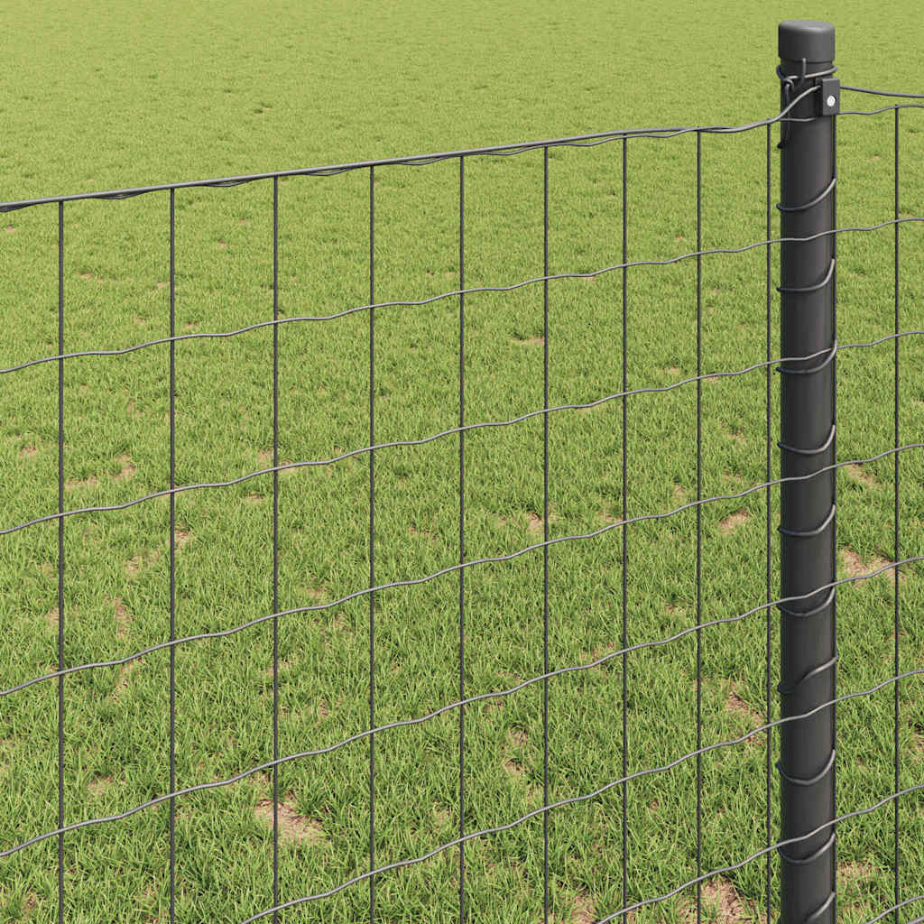 vidaXL Ogrodzenie Euro Szary 0,6 x 50 m Żelazo pokryte PVC